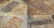 Zagadkowa prehistoryczna nekropolia. Powstała 6500 lat temu, ale nie ma tam ludzkich szczątków