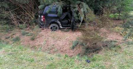 Na prostej drodze zjechał na pobocze i uderzył w drzewo. Strażacy musieli rozcinać karoserię
