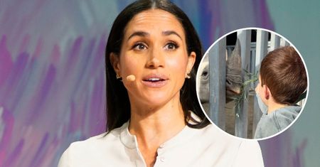 Meghan Markle wrzuciła nowe nagranie Archiego. Uwagę zwracają jego... włosy