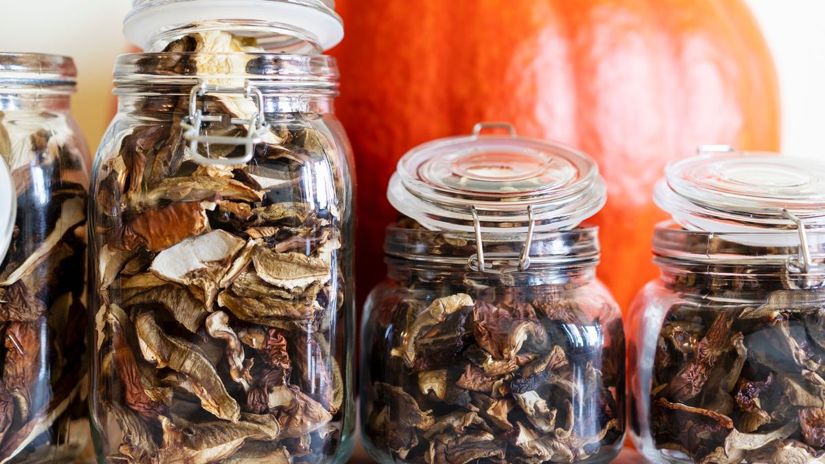 Najlepszy sposób na przechowywanie grzybów