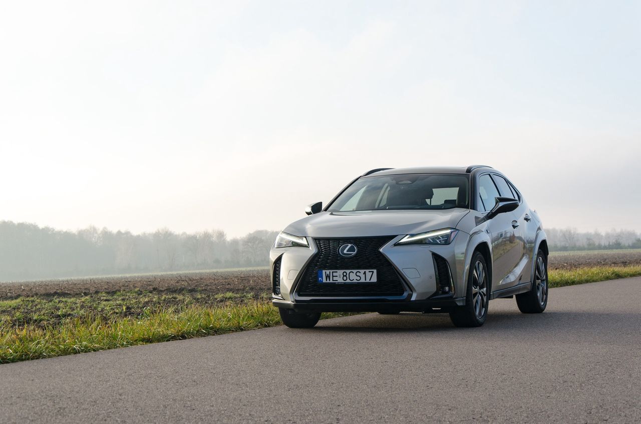 Lexus UX 300h AWD
