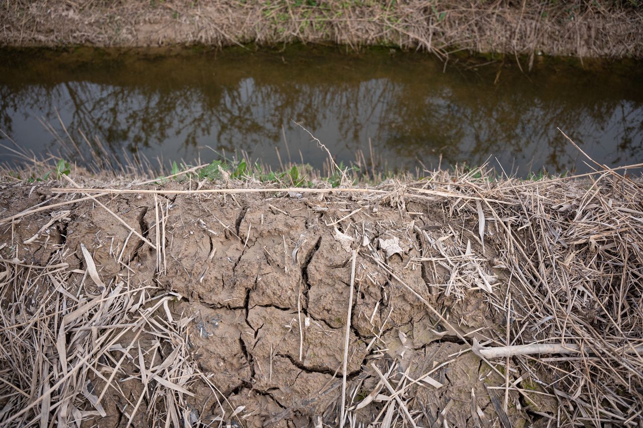 Catalonia declares drought emergency with strict water restrictions forthcoming