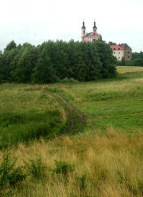 Obraz