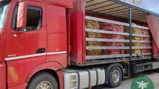 Lubienia: Nielegalny transport ziemniaków zatrzymany. Szokujące braki w dokumentacji