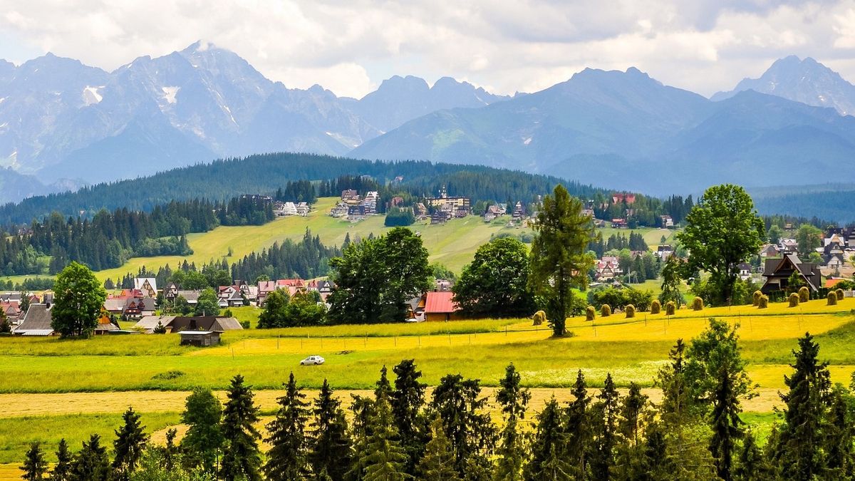 Zdjęcie ilustracyjne.