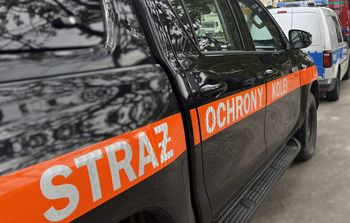 Wodzisław Śląski: Pijany kierowca o mało nie doprowadził do zderzenia