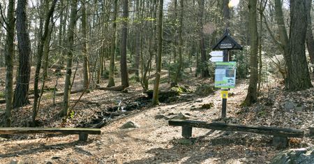 Świętokrzyski Park Narodowy będzie zmniejszony. Nowy teren dostaną od rządu zakonnicy