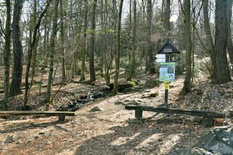 Świętokrzyski Park Narodowy będzie zmniejszony. Nowy teren dostaną od rządu zakonnicy