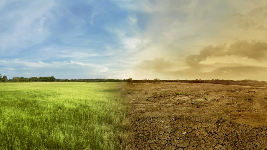 Landscape of meadow field with the changing environment concept of climate change
nature, climate, environment, change, dry, desert, earth, landscape, global, sky, drought, weather, concept, life, pollution, green, warming, field, background, world, cracked, ecology, future, heat, grass, dead, land, death, texture, extreme, outdoor, forest, temperature, cloud, meadow, blue, crisis, ground, problem, day, effect, nature, climate, environment, change, dry, desert, earth, landscape, global, sky, drought, weather, concept, life, pollution, green, warming, field, background, world, cracked, ecology, future, heat, grass, dead, land, death, texture, extreme, outdoor, forest, temperature, cloud, meadow, blue, crisis, ground, problem, day, effect