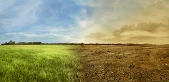 Poznań: Będą dyskutować o środowisku i zmianach klimatu