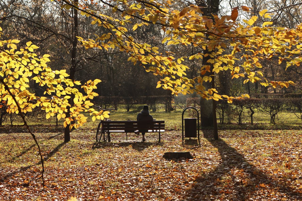 Po mrozach przyjdzie ocieplenie. Nawet 15 stopni na początku grudnia