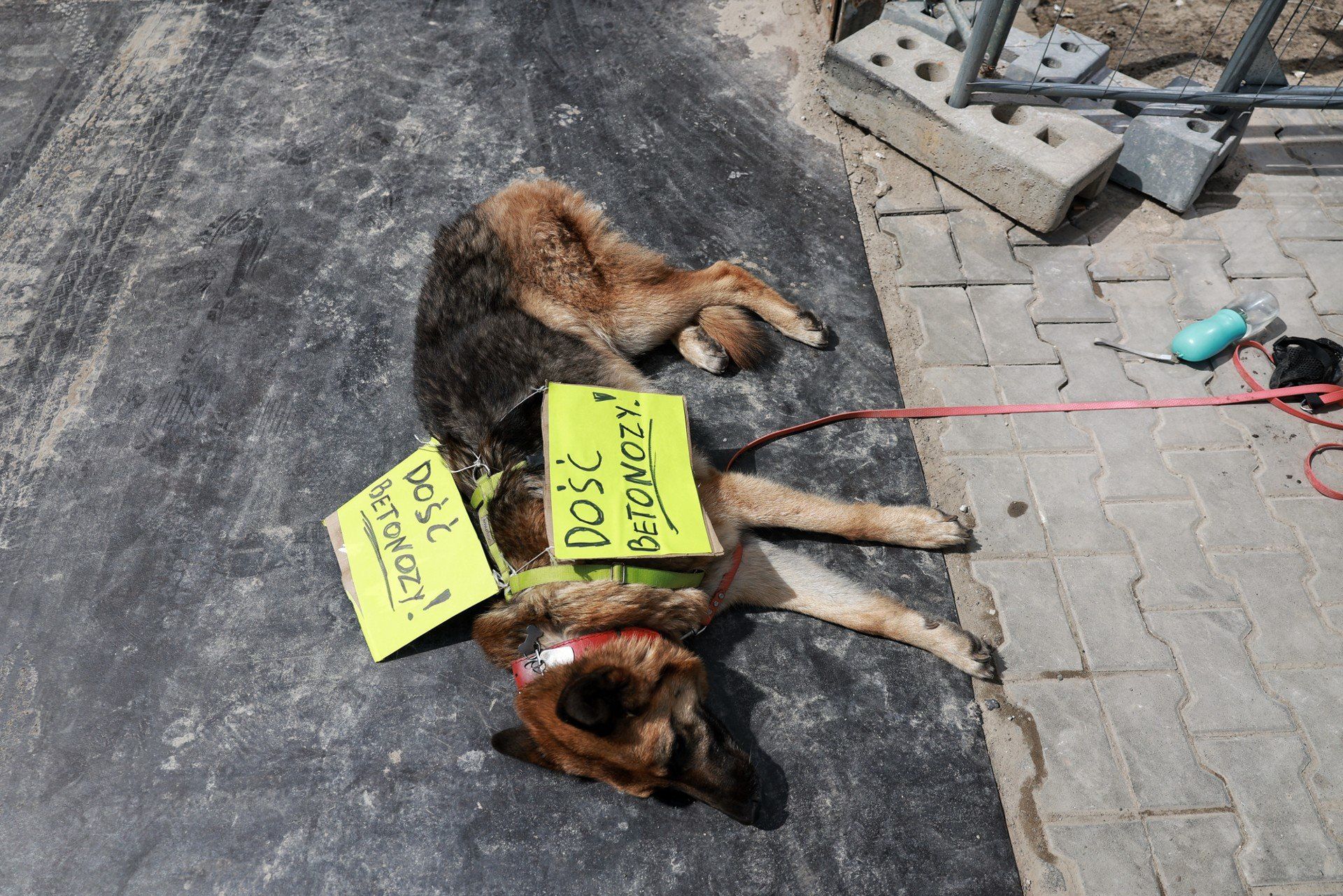 Anarchiści protestowali na poznańskim Sołaczu