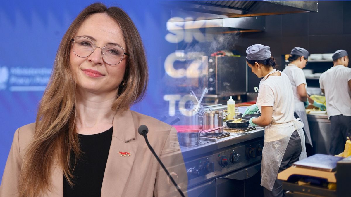 Agnieszka Dziemianowicz-Bąk komentuje przyjęcie przez rząd refor