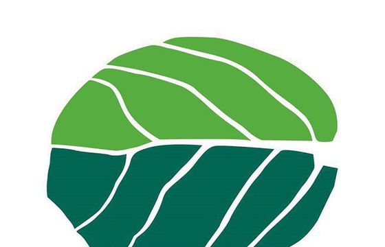 Świeża Bazylia PR obsługuje Systim