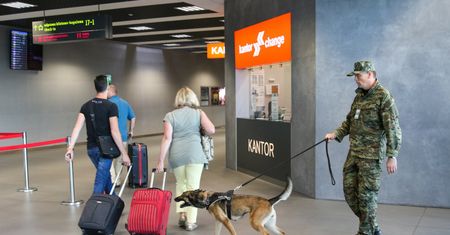 Nagminny błąd na lotniskach. Sypią się mandaty. Straż tłumaczy