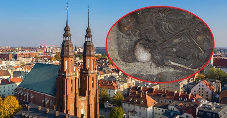 Przytulone szkielety na ścianie katedry. Średniowieczna sensacja w Opolu