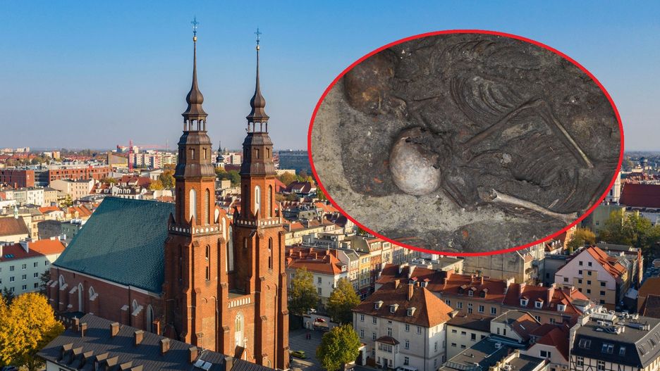 Odkrycie w opolskiej katedrze/Adobe Stock/Odkryj Opole/Facebook