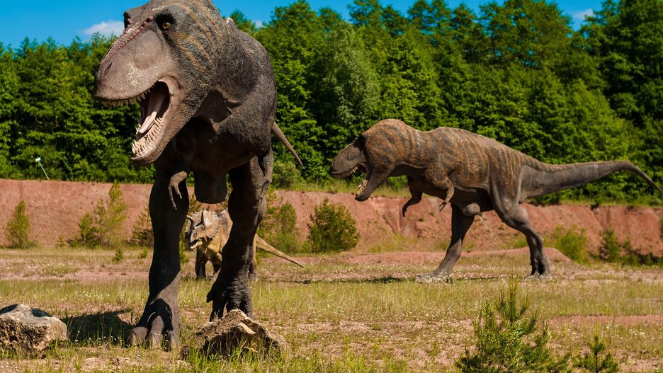 Dinozaury