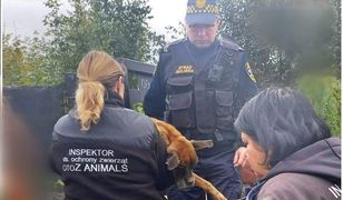 Umierała na podwórku tuż obok domu właścicieli. Niestety ratownicy jej nie odratowali