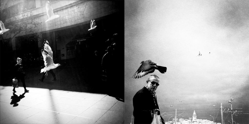Fotograficzny dialog między Sydney i Stambułem 2