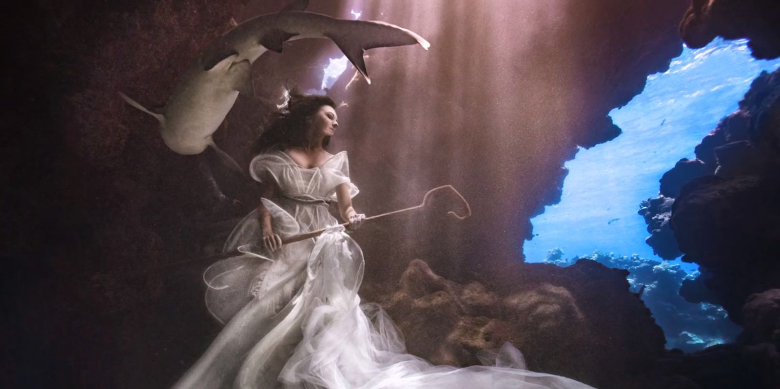 Te surrealistyczne portrety z rekinami to nie fotomontaż 5