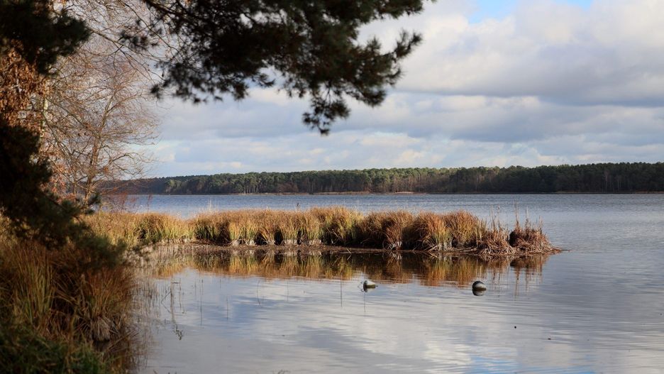 Jesień wycisza okolice Zalewu Zemborzyckiego, odsłaniając inne oblicze jednego z najczęściej odwiedzanych terenów rekreacyjnych Lublina. Zamiast letniego gwaru - wilgotne ścieżki, stłumione barwy i pojedynczy spacerowicze. Ten fotoreportaż pokazuje, jak zmienia się rytm życia nad zalewem, gdy sezon letni ustępuje miejsca jesiennej codzienności.