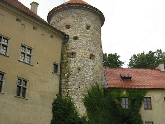Obraz