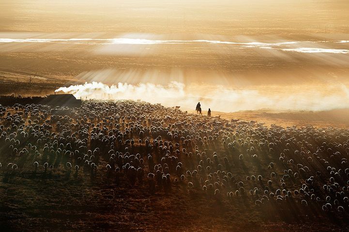 Życie biednych ludzi tematem i misją konkursu fotograficznego CGAP 10