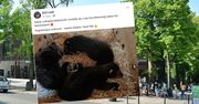 Niezwykłe narodziny w Łodzi. "Mamy cudowną wiadomość"