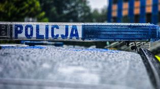 Świecie: 51-latek zamienił kontener w plantację konopi indyjskich
