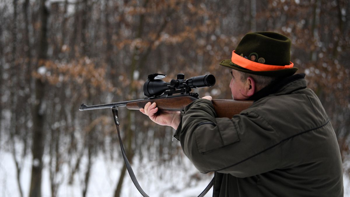 polowanie
Darek Delmanowicz
bro�, dzik�w, �owiectwo, odstrza�, polowanie, Polski �wi�zek �owiecki, PZ�, sztucer, zbiorowe, zwierz, zwierzyna