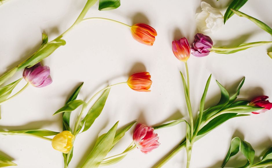 Dzień Kobiet w Open FM (fot. Alesia Kozik / Pexels)