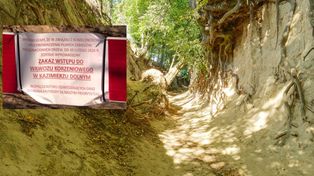 Kazimierz Dolny: Wąwóz Korzeniowy Dół zamknięty