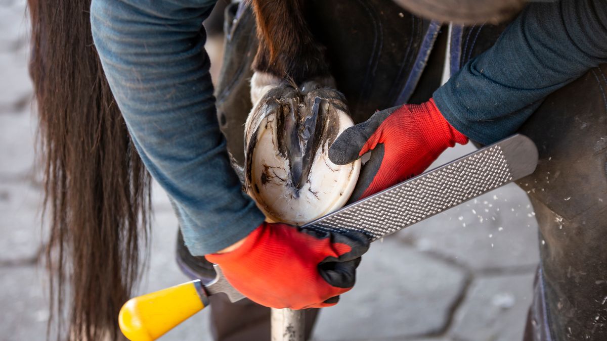 W Krakowie nie brakuje ofert dla pracowników fizycznych. Zdj. ilustracyjne