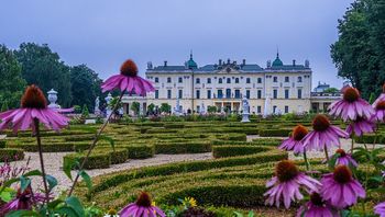 Pogoda w Białymstoku. Prognoza na poniedziałek 19 stycznia. Silny mróz