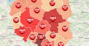 Koronawirus w Polsce. Już ponad 10 tysięcy osób wygrało walkę z COVID-19 [Aktualna mapa]