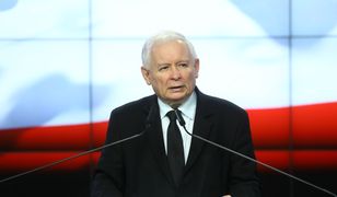 Kaczyński triumfuje. Jest nowy sondaż poparcia
