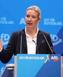AfD bez burmistrzów w tym landzie. Przełomowe wyniki wyborów