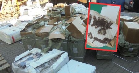"Markowe" skarpety za 8 groszy. Wykryto tony podróbek