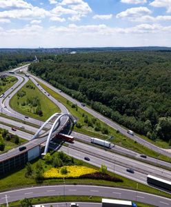 Rozluźnili katowickie ulice... węzłami