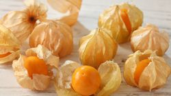 Miechunka - właściwości, działanie, przeciwwskazania