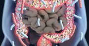 Mikrobiota jelitowa – funkcje, zaburzenia i badanie