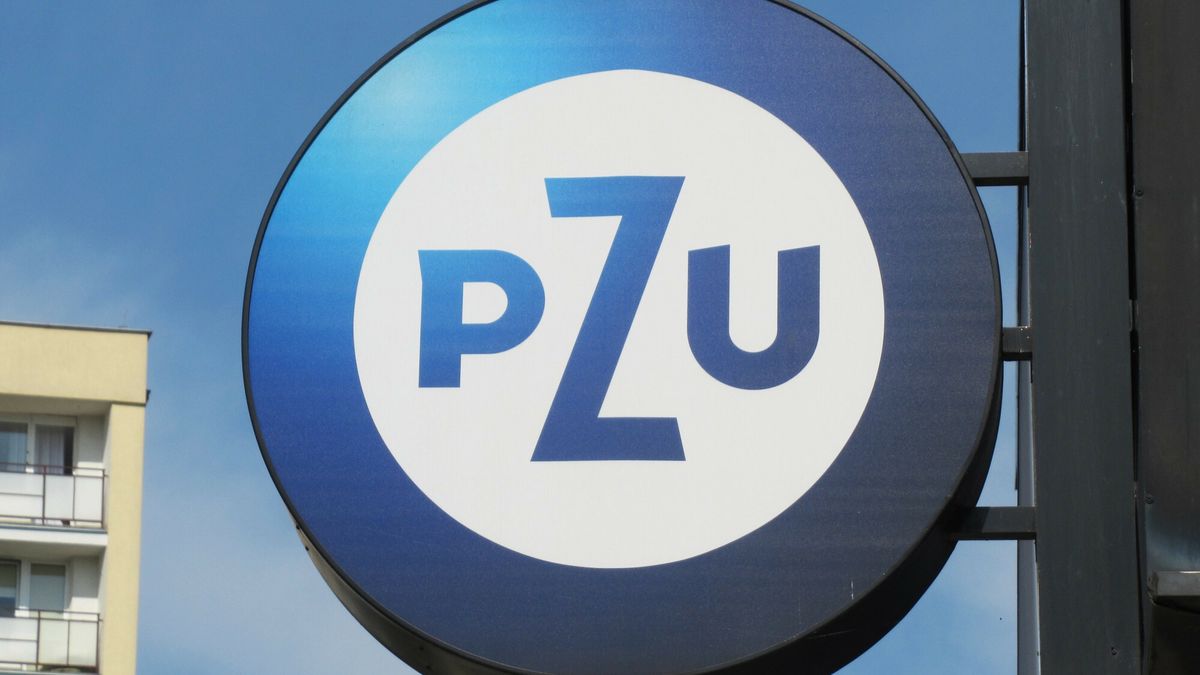 PZU: audyty w grupie PZU wykazały znaczący zakres nieprawidłowoś