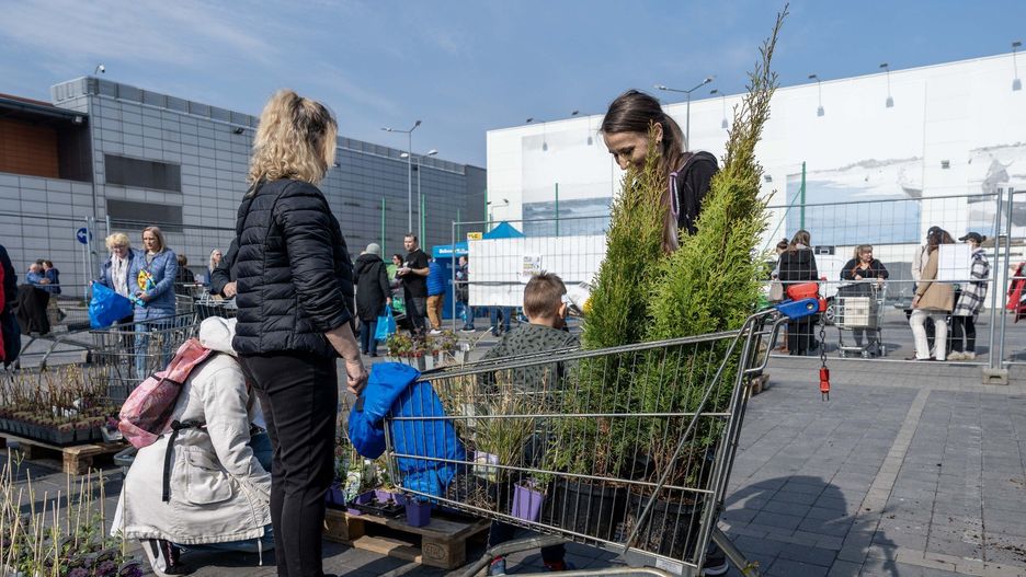 Drzewko za surowce wtórne Gdańsk . Gdańskie ogrody będą wyglądały pięknie, a zużyte sprzęty zyskają nowe życie dzięki recyklingowi