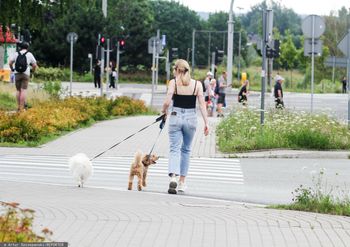 Podstawowy obowiązek właściciela psa. Mandat za brak to 500 zł
