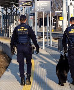 Trzech chłopców uciekło do Polski z domu dziecka w Berlinie