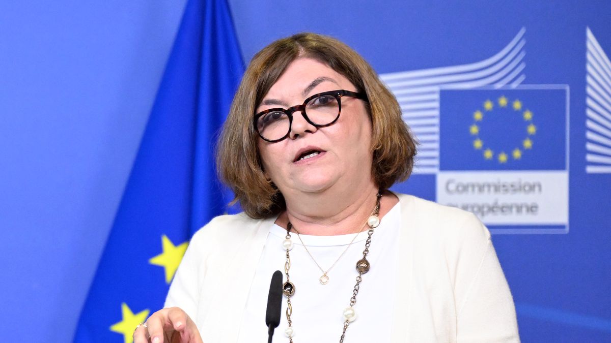 BRUSSELS, BELGIUM - SEPTEMBER 25: EU Commissioner for Transport Adina Valean and Ukrainian Infrastructure Minister Oleksandr Kubrakov (not seen) hold a joint press conference about increasing road capacities and investments in transportation infrastructure in Brussels, Belgium on September 25, 2023. (Photo by Dursun Aydemir/Anadolu Agency via Getty Images)