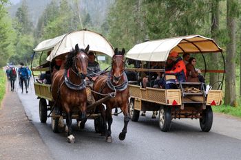 Morskie Oko. Spóźnili się na transport konny. Zadzwonili po TOPR