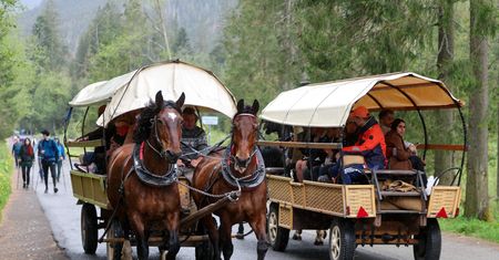 Morskie Oko. Spóźnili się na transport konny. Zadzwonili po TOPR