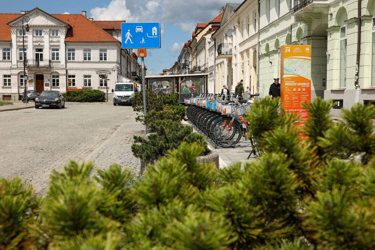 Nowe nasadzenia w centrum Płocka. Ulica Grodzka i Plac Narutowicza zyskają więcej zieleni!